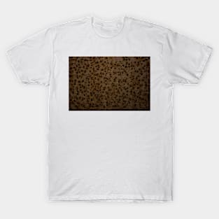 Rust Holes T-Shirt